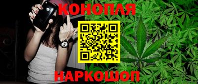 Альфа ПВП Пыть-Ях