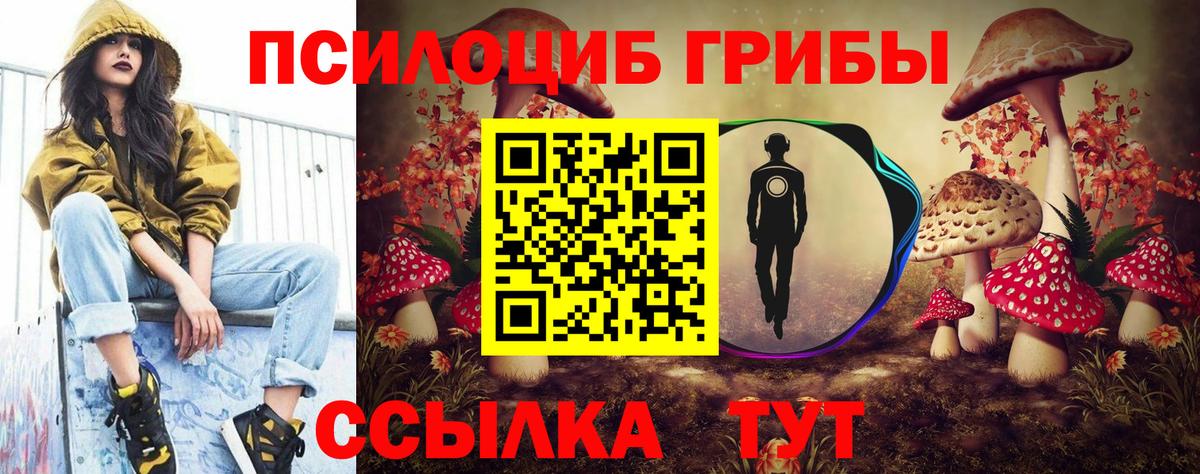 Галлюциногенные грибы MAGIC MUSHROOMS Муром