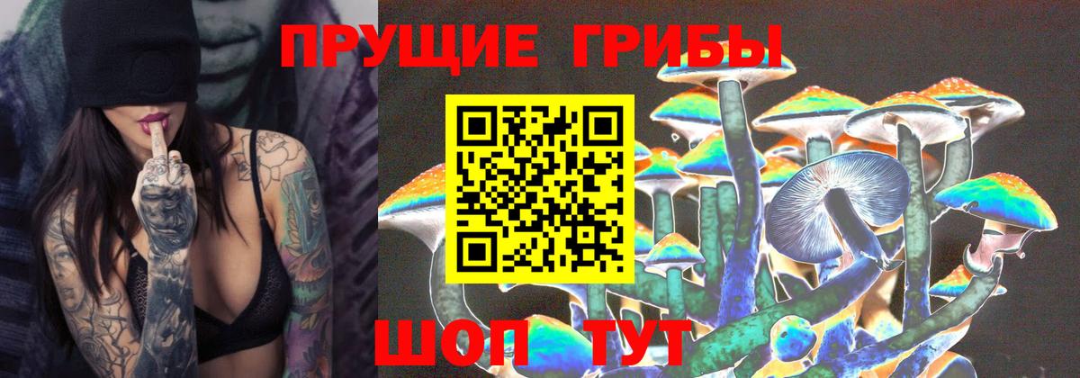 Псилоцибиновые грибы GOLDEN TEACHER  Вход с VPN  Муром 